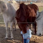 Sixteen-month-old has a heart-warming interaction with horses.
