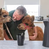 Annie the alpaca with her one-year-old daughter Bailey and doting owner Dannie Burns.