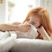 A pharmacist is warning parents to be on the lookout for headlice, worms and other illnesses now summer is over. (Photo: Pexels, Andrea Piacquadio)