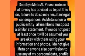Example of the 'Goodbye Meta AI'. Photo via Twitter user @hannahlouisef