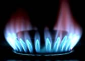 A poll of 2,000 adults found that 45 per cent have never sought assistance regarding their energy bills - whether that be turning to loved ones or seeking professional advice