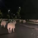  Hundreds of escaped sheep were pictured blocking a bypass in the early hours of the morning - after a country gate was left open. 