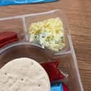 Rosanna Pansino said mould was found in Lunchly, a brand affiliated with MrBeast, Logan Paul, and KSI. 