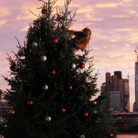 Banned Christmas advert: the time Iceland's Christmas ad was ‘banned’ from UK TV - and the reason why