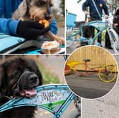 The Woof Truck - 'rusty old bike' (inset) and what it looks like now.