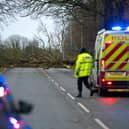 Paul Fiddler died after a tree fell onto his Citroen van on the A59 at Longton
