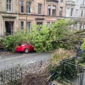 A huge tree pulled down power lines and smashed a car when it crashed down in Glasgow during Storm Éowyn. 