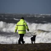 Storms can be a distressing time for our pets.