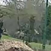 Harrowing CCTV shows the final moments of a teenager's life as he fled two thugs who stabbed him in a park in broad daylight.  