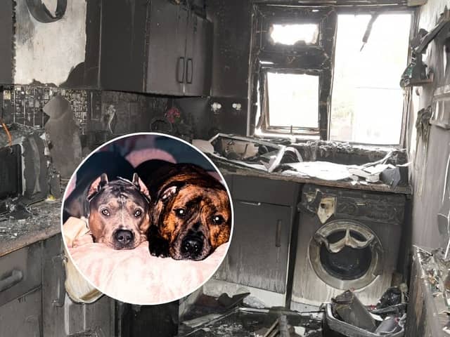 Couple and their dogs killed in horrifying e-bike battery fire at home