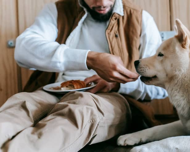 Some ingredients we use for pancakes can be dangerous to dogs.