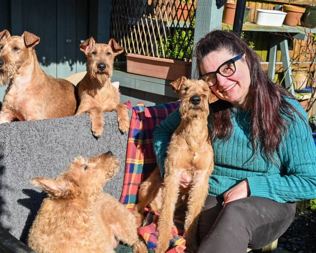 Karen Hobson from Wiltshire, has been showing her Irish terriers for 10 years at Crufts and this year she will be attending with 3 generations of her 4 generations of Irish terriers. BC (L-R) Ailis and Dana and FR (L-R) Roisin and Cillian.March 3 2025.