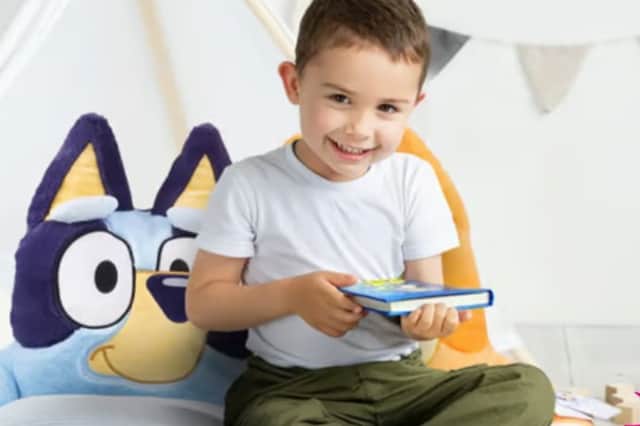 Kids will love this Bluey and Bingo Plush Sofa Chair now 47% off from Wowcher