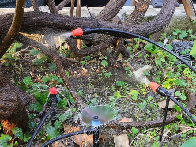 Automatic irrigation systems allow you to enjoy your garden without having to water it yourself