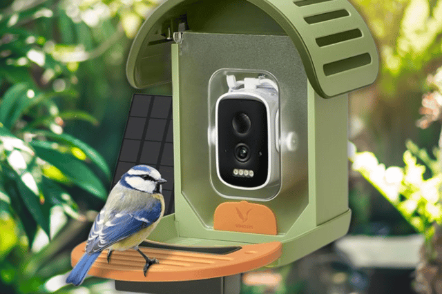 The VINGUYS Bird Feeder Camera brings tech to birdwatching