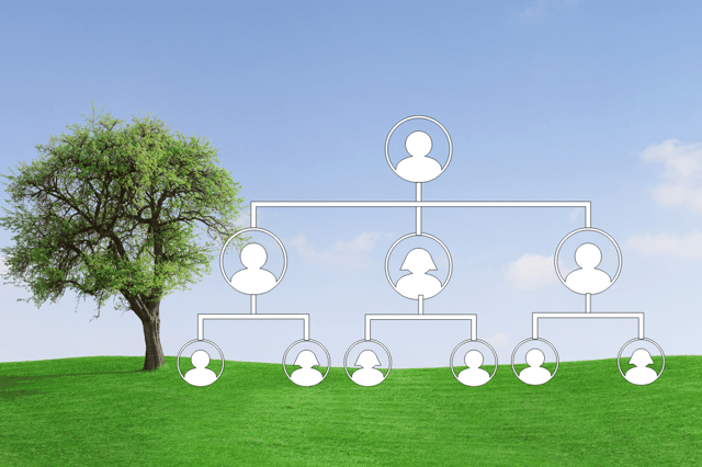 Your family tree could be bigger than you ever imagined — and DNA testing can help you trace its many branches.