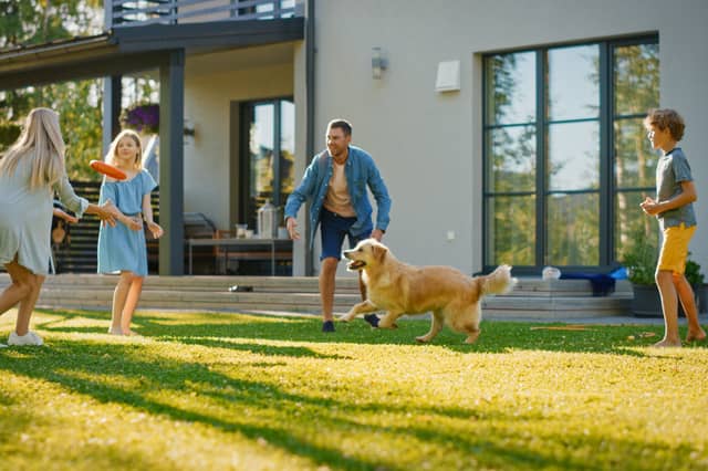 5 best QVC sale products to get your garden ready for spring. Stock image.