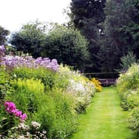 Annual plant sale at Pitmuies Gardens this weekend