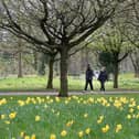 ​​Health walks are run by mroe than 50 organisations across the Angus and Dundee areas.