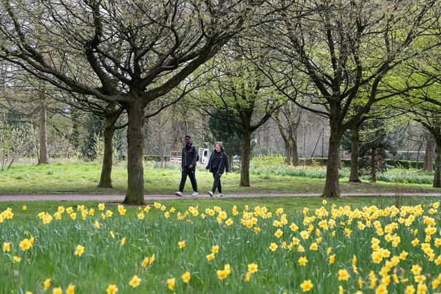 ​​Health walks are run by mroe than 50 organisations across the Angus and Dundee areas.
