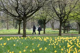 ​​Health walks are run by mroe than 50 organisations across the Angus and Dundee areas.
