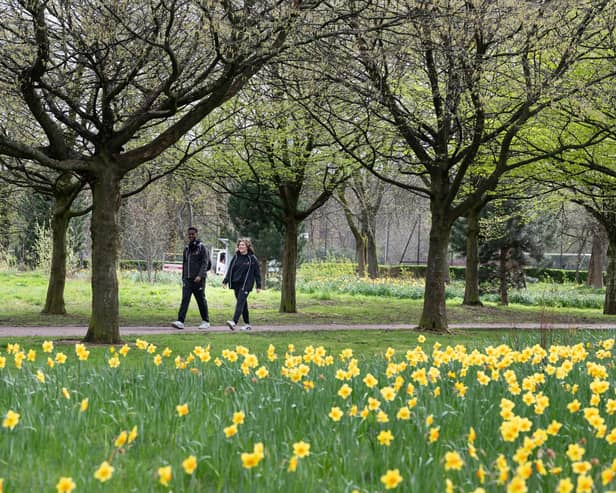 ​​Health walks are run by mroe than 50 organisations across the Angus and Dundee areas.