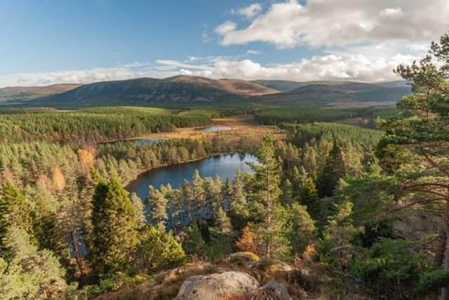 Foresters are being urged to take action now to future-proof woodland against changing climate.