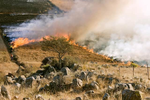 Firefighters responded to more than one wildfire per day last Spring.