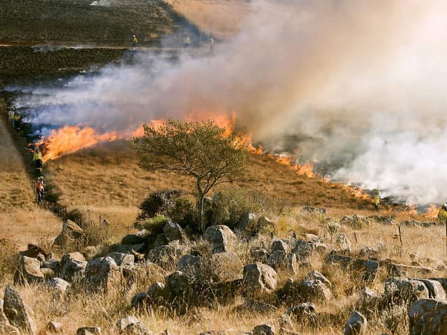 ​Firefighters responded to more than one wildfire per day last Spring.