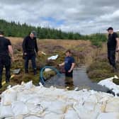 The team completed the work in 18 hours over the course of two days.