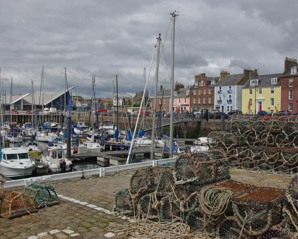 An initial three-year investment plan and 10-year vision for Arbroath must be submitted by November 1.