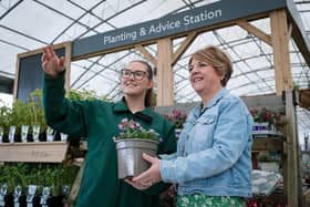 Special Dad Rose is now available in Dobbies stores (© Dobbies Garden Centres).