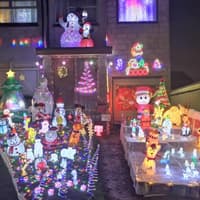 Broughty Ferry family illuminate their house to raise funds for brain tumour research