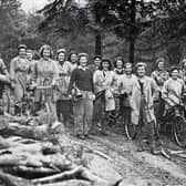 The Lumberjills in the Forest of Dean.