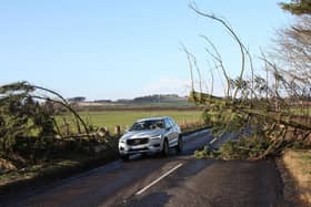 Routes across Angus were closed due to fallen trees and debris on roads. Temporary measures had to be taken to deal with this tree which fell across the B9128 at Hillend of Lownie, just outside Kingsmuir.