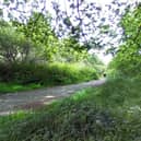 ​Work on the nature reserve will help to regenerate native grassland and improve access points. (Google Maps)