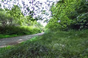 ​Work on the nature reserve will help to regenerate native grassland and improve access points. (Google Maps)