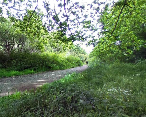 ​Work on the nature reserve will help to regenerate native grassland and improve access points. (Google Maps)