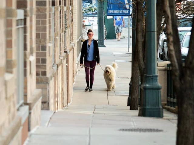 Animal welfare organisations have backed Maurice Golden's motion to have electric shock collars banned completely.