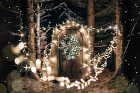 Magical Winter Nights goes beyond other light shows.