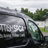 The charity responded to more than 4000 calls across the Angus and Dundee area last year, and rehomed over 200 pets.