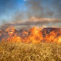 Many areas in Scotland are facing an extreme risk of wildfire, and the public have been warned against using naked flames.