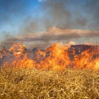Firefighters issue 'no flames' warning as renewed wildfire alert issued