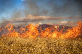 Many areas in Scotland are facing an extreme risk of wildfire, and the public have been warned against using naked flames.