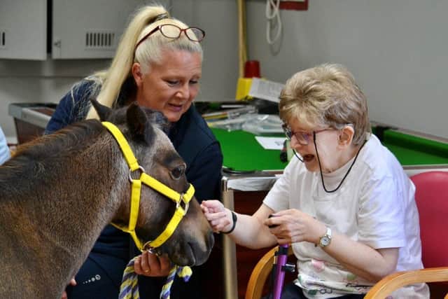 Therapets Joyful Ponies visiting NESS service users at John Street, Aberdeen