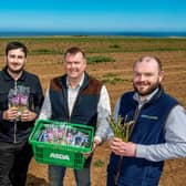 2 Asda roots for local growers. Pictured L - R Andy Laing, ESG Drysdale; Jonathan Wood, Asda; Rob Stockwell, Grower; Alex MacArthur, ESG Drysdale
