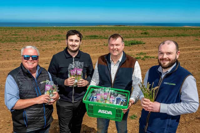 2 Asda roots for local growers. Pictured L - R Andy Laing, ESG Drysdale; Jonathan Wood, Asda; Rob Stockwell, Grower; Alex MacArthur, ESG Drysdale