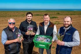 2 Asda roots for local growers. Pictured L - R Andy Laing, ESG Drysdale; Jonathan Wood, Asda; Rob Stockwell, Grower; Alex MacArthur, ESG Drysdale