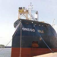 Shipping Lines - The real value of a reliable shipping/port agent can’t be underestimated