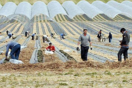The study underlined the contribution made by high quality European workers to industry growth.